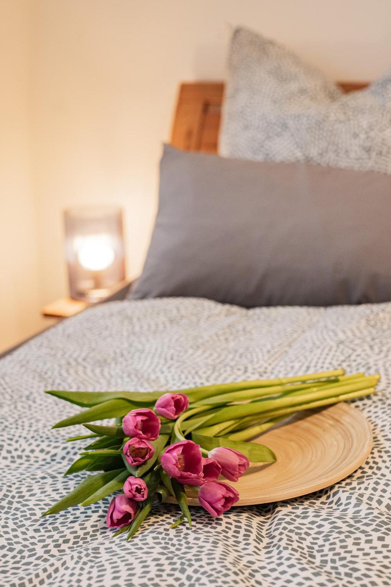 Holly Gmbh Ferienwohnungen Bad Alexandersbad Luaran gambar